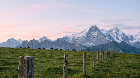 Panorama grandiose du Mont-Blanc enneigé encadré par les alpages verdoyants et les crêtes calcaires du massif des Aravis au lever du jour